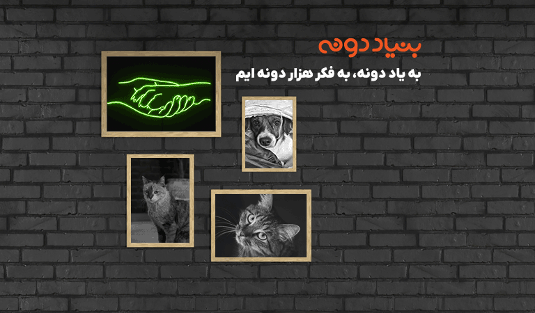بنیاد دونه - گربه بیمار