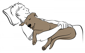 تصویر سگ خوابیده در آغوش صاحبش