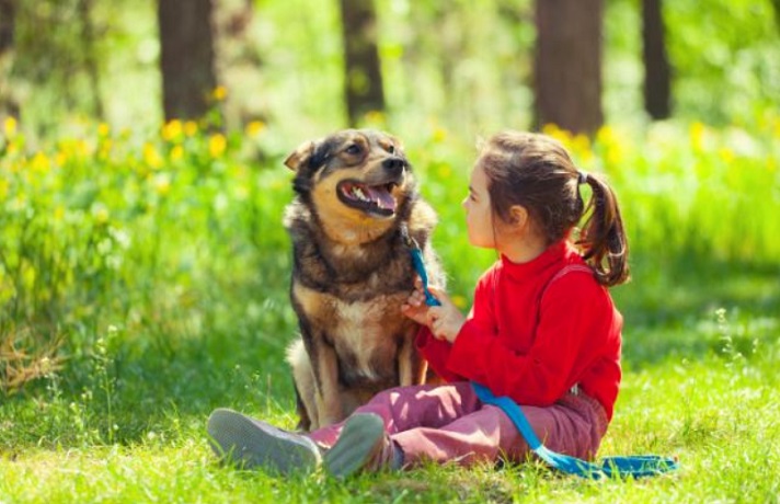 تعامل کودک و سگ در طبیعت