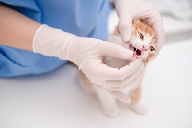 Examination of milk teeth