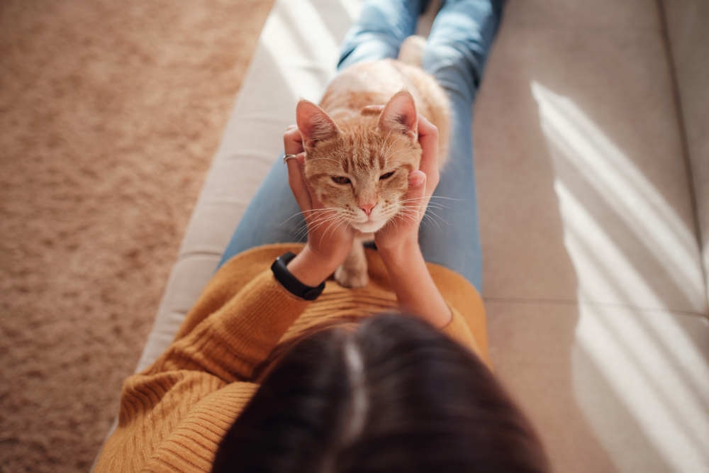 what do cats think about us?