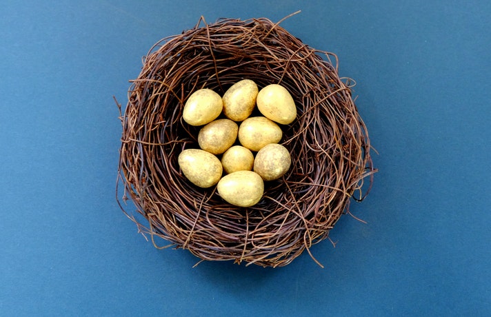 تخم های زرد رنگ پرنده در لانه