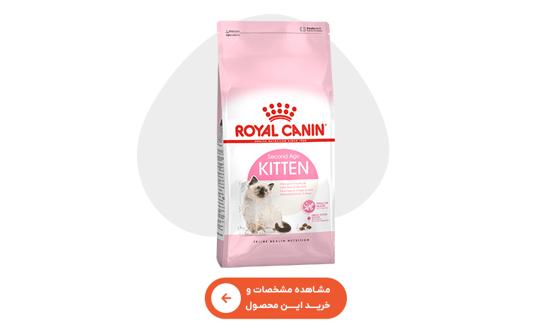 خرید غذای خشک بچه گربه رویال کنین