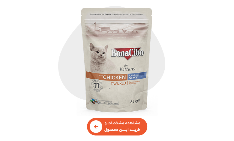خرید پوچ بچه گربه بوناسیبو 