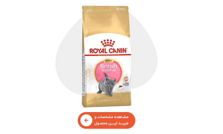 خرید غذای خشک بچه گربه بریتیش رویال کنین