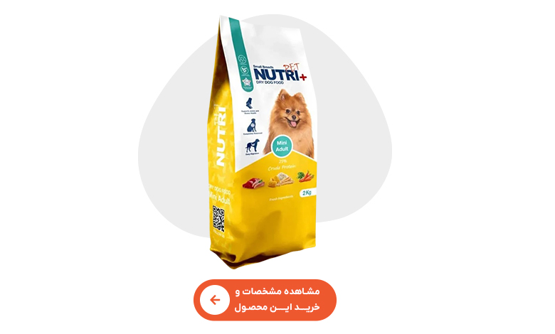 خرید غذای خشک سگ بالغ نوتری پت