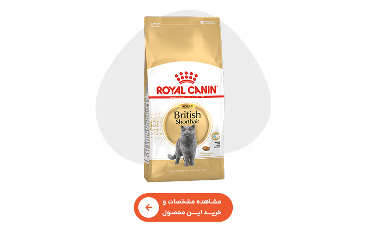 خرید غذای خشک گربه بریتیش رویال کنین 