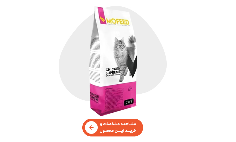 خرید غذای خشک گربه مفید خارج از خانه