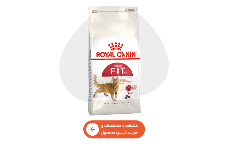 خرید غذای خشک گربه فیت رویال 