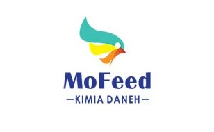  مفید - Mofeed 