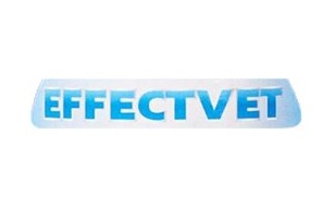  افکتیو - Effectivet 