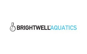  برایت ول - Brightwell  