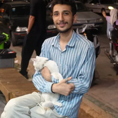 میول