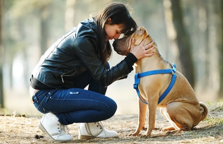 حس ششم سگ توانسته ناراحتی صاحبش را درک کند.