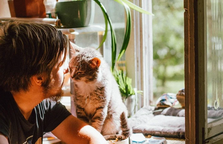 گربه که روبروی صاحبش نشسته