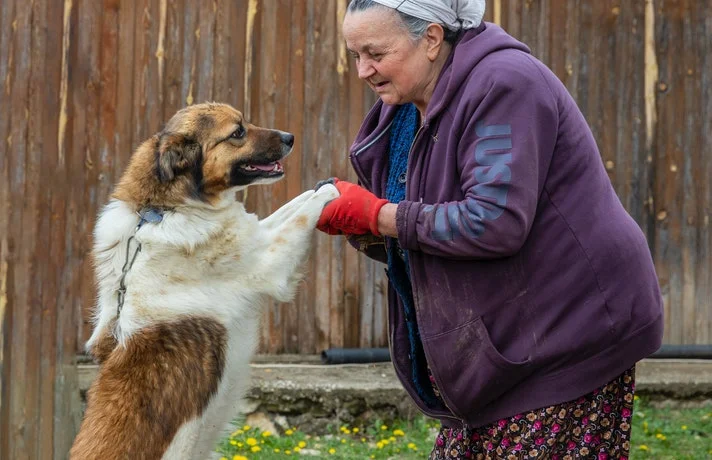 سگ پیر ایستاده روی دو پای عقب در کنار یک خانم پیر