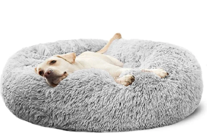 سگ حامله خوابیده روی تشک خواب مخصوص سگ