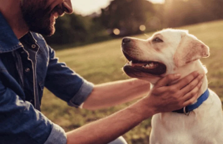 سگ پیر سفید و کرم با صاحبش در طبیعت