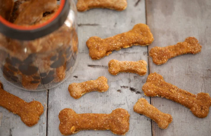 تشویقی بیسکوییتی