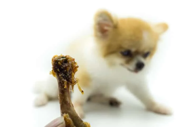 Safe chicken bones for dogs: Risks & Tips – Marleybones