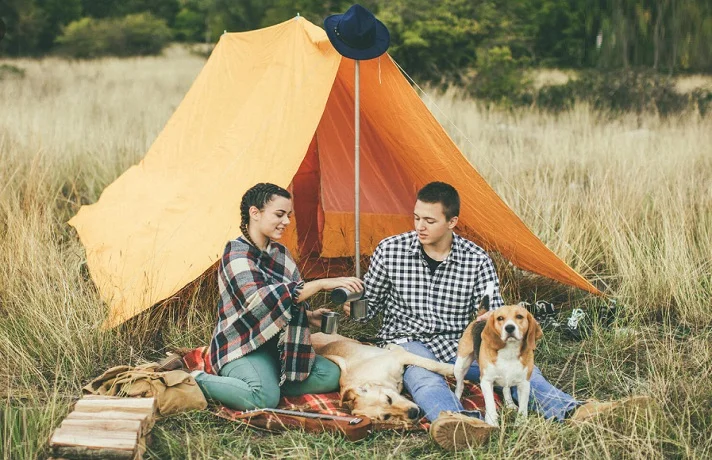 یک زوج جوان که با سگ خود به اردو رفته اند.