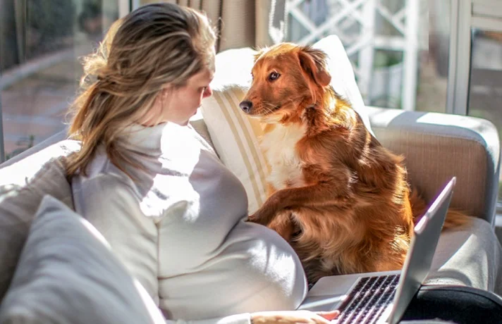 سگ در کنار یک خانم باردار