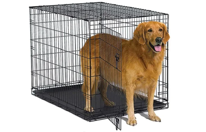 سگ قهوه ای در جعبه جامل فلزس مشکی