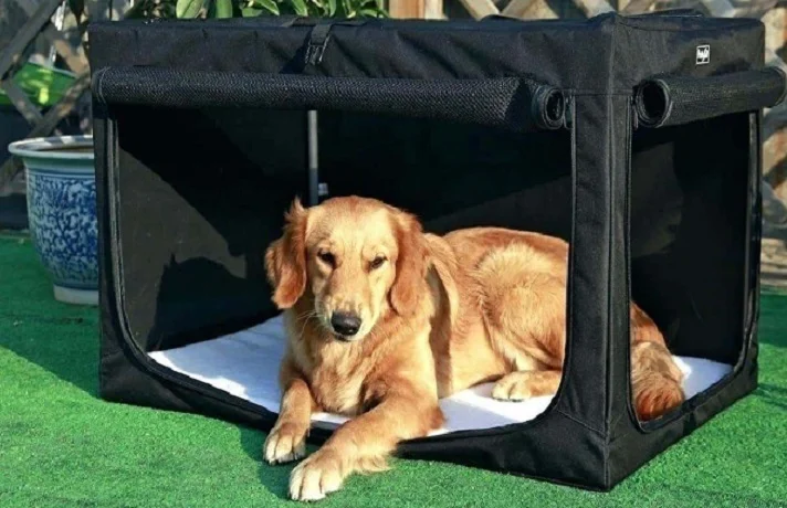 سگ قهوه ای در کیف حامل مشکی