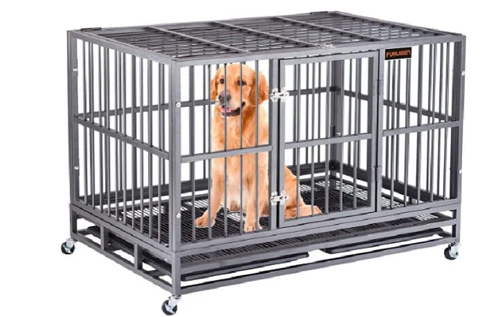 سگ جوان قهوه ای در باکس فلزی چرخ دار