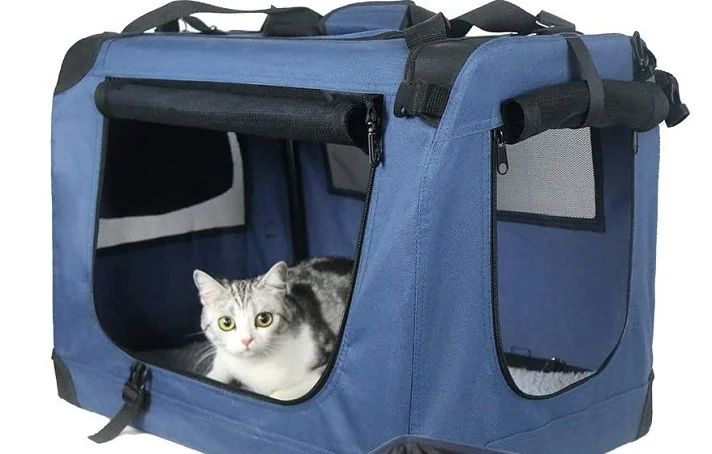 گربه سفید و طوسی در کیف حامل آبی در حال نگاه کردن به بیرون