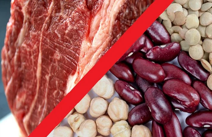گوشت و حبوبات در دو بخش مجزا در تصویر جهت مقایسه این دو برای سگ
