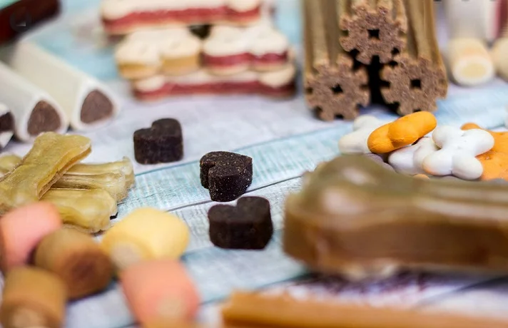 انواع تشویقی دنتال سگ در طرح ها و طعم های مختلف