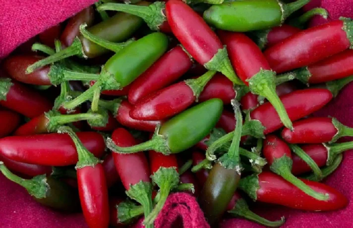 مقداری فلفل سبز و قرمز در کنار هم