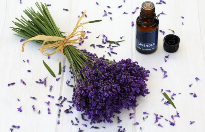 یک شیشه اسانس اسطوخودوس در کنار دسته گل اسطوخودوس