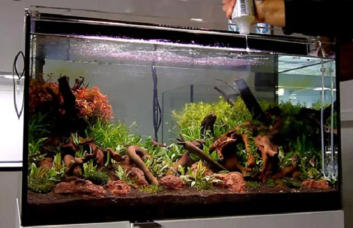 آکواریوم مشکی با ماهی‌های مختلف و دستی در حال ریختن مواد حاوی باکتری‌های مفید