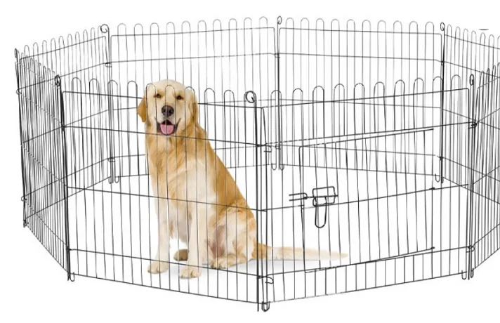 سگ در پارک فلزی