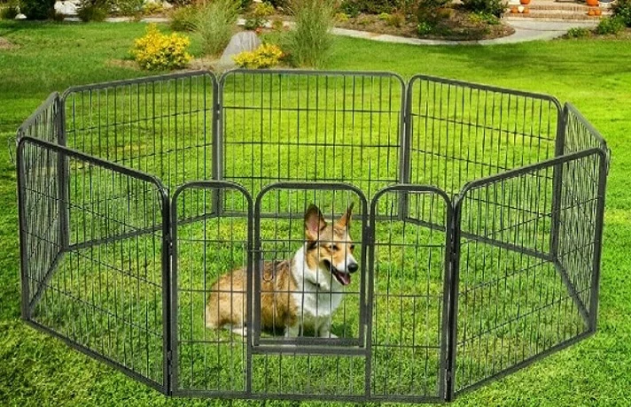 سگ در پارک خود که در فضای بیرون است نشسته است.