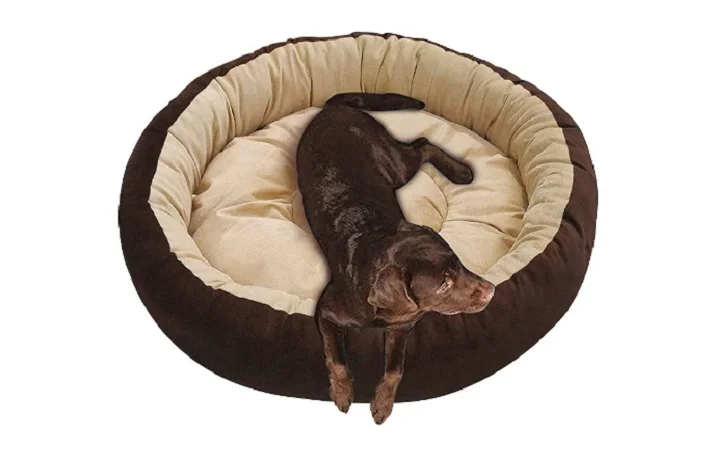 سگ قهوه ای روی تشک لبه دار کرم و قهوه ای