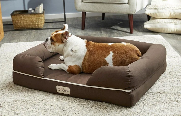 سگ سفید و قهوه‌ای در تشک لبه دار