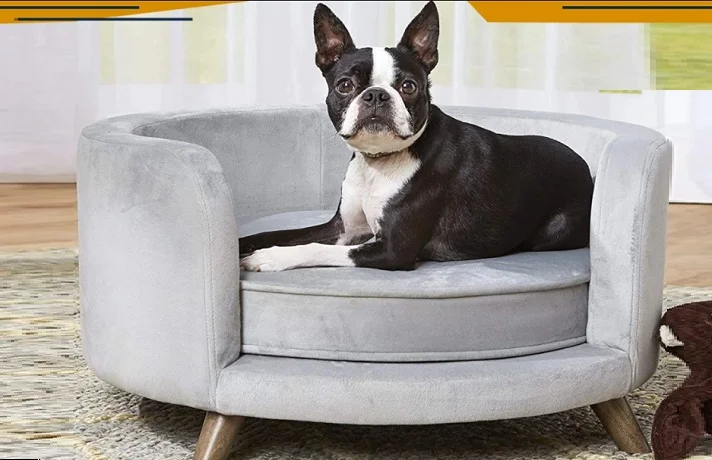 سگ روی تخت پایه دار در حال استراحت