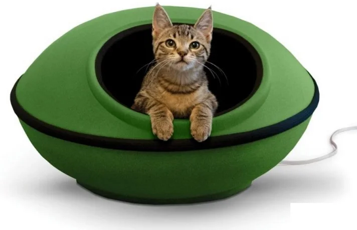 جای خواب سبز رنگ گربه