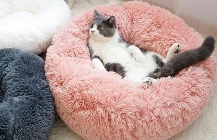 جای خواب گرد و صورتی رنگ گربه