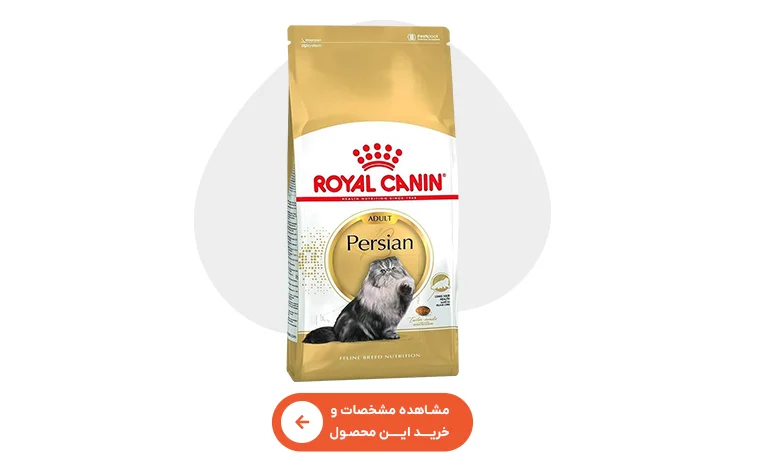 خرید غذای خشک گربه پرشین