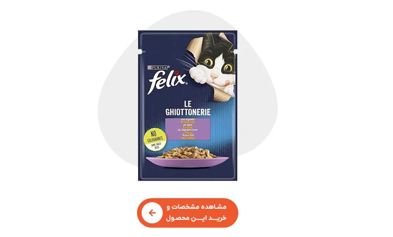 خرید پوچ گربه بالغ فلیکس