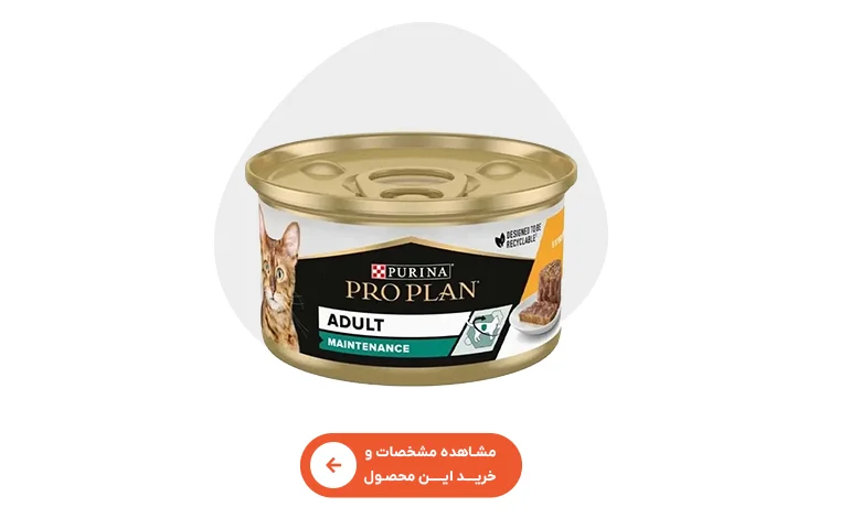 خرید کنسرو چانک گربه پروپلن
