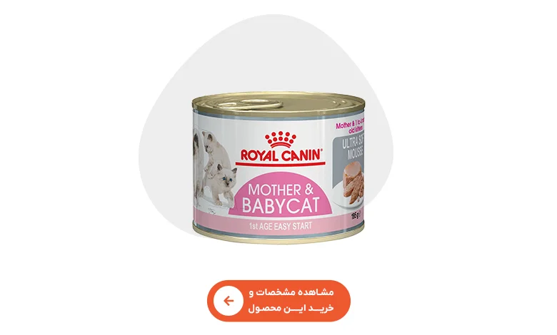 خرید کنسرو گربه رویال کنین