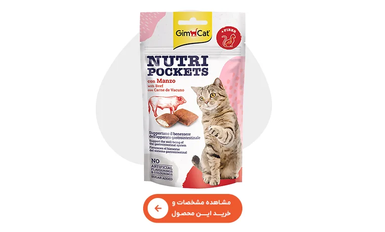 خرید تشویقی گربه نوتری پاکت جیم کت