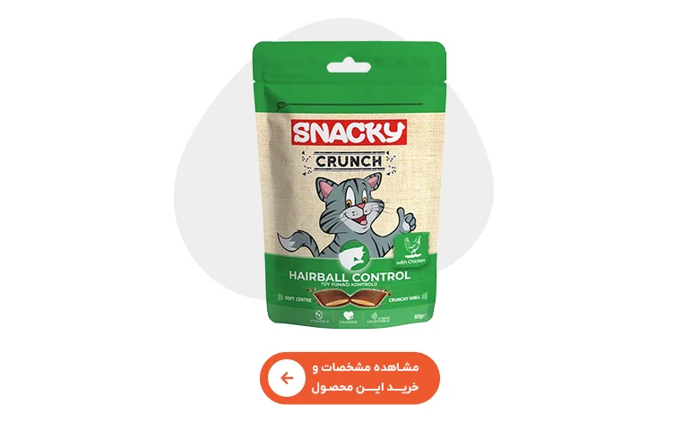 خرید تشویقی گربه اسنکی