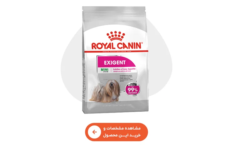 خرید غذای خشک سگ اگزیجنت رویال کنین