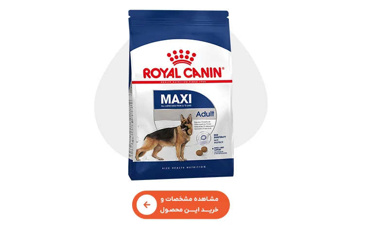 خرید غذای مکسی ادالت رویال کنین